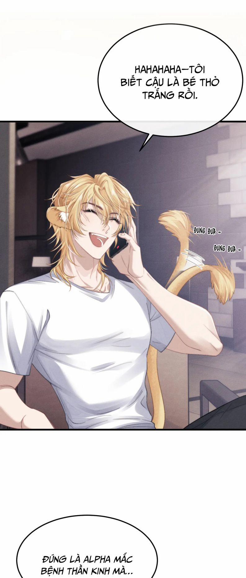 Chấp Sự Thỏ Cụp Tai 13 trang 2