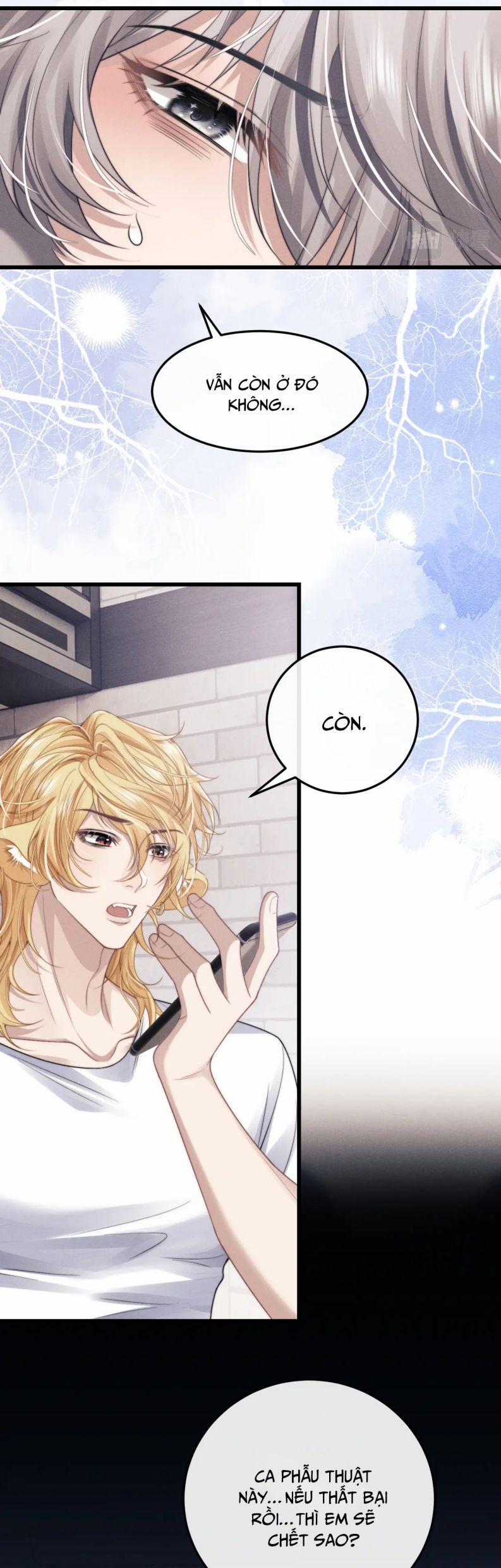 Chấp Sự Thỏ Cụp Tai 13 trang 7