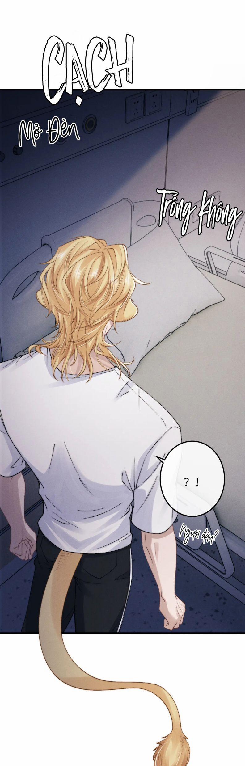 Chấp Sự Thỏ Cụp Tai 14 trang 22