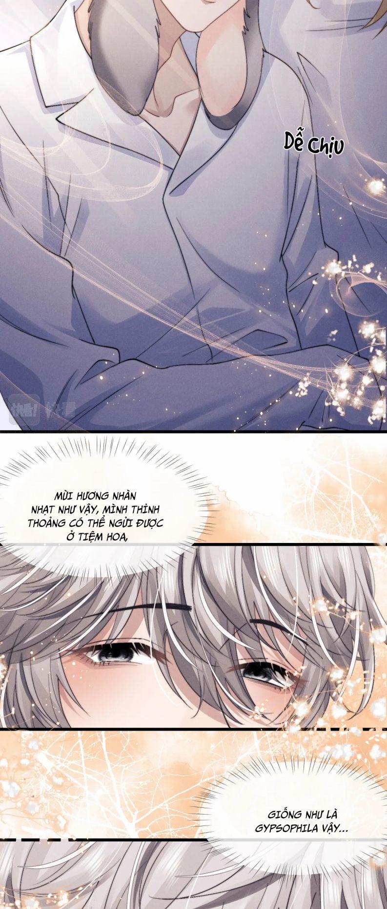 Chấp Sự Thỏ Cụp Tai 15 trang 5