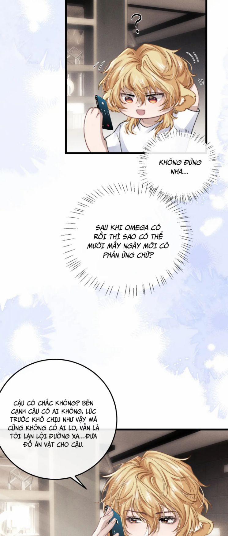 Chấp Sự Thỏ Cụp Tai 17 trang 14