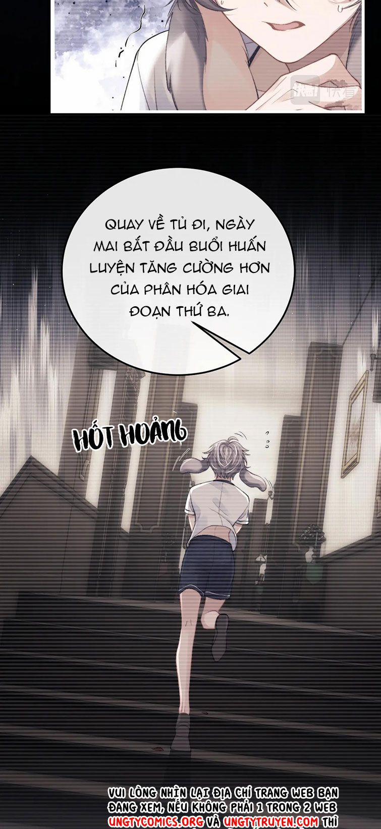 Chấp Sự Thỏ Cụp Tai 22 trang 9