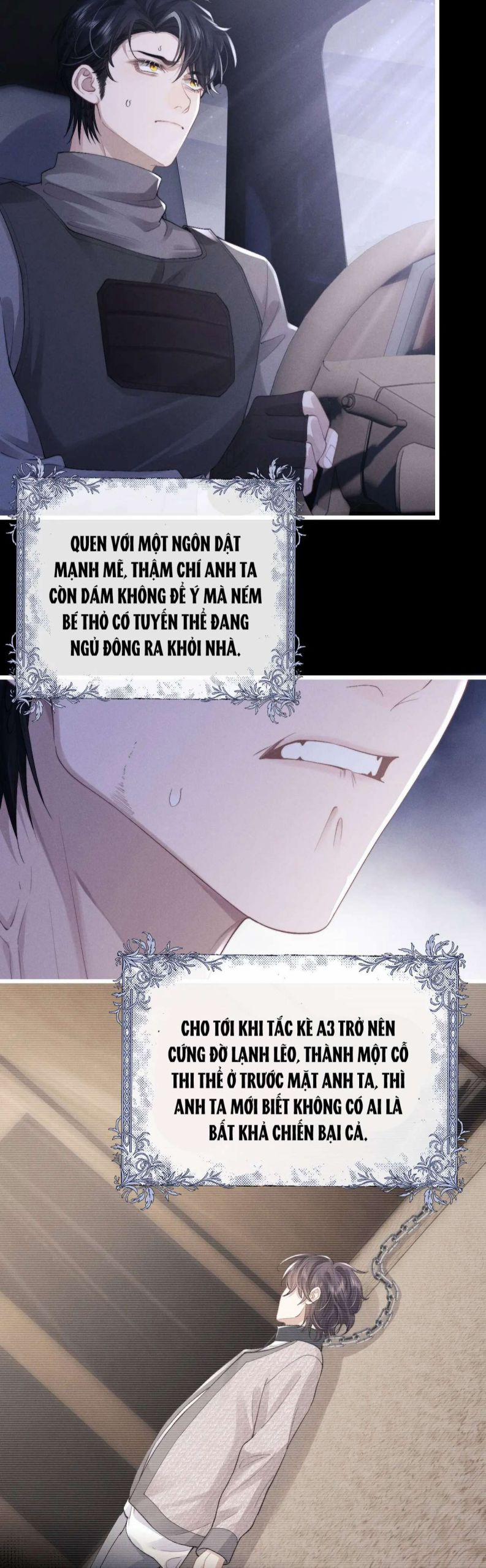 Chấp Sự Thỏ Cụp Tai 33 trang 3