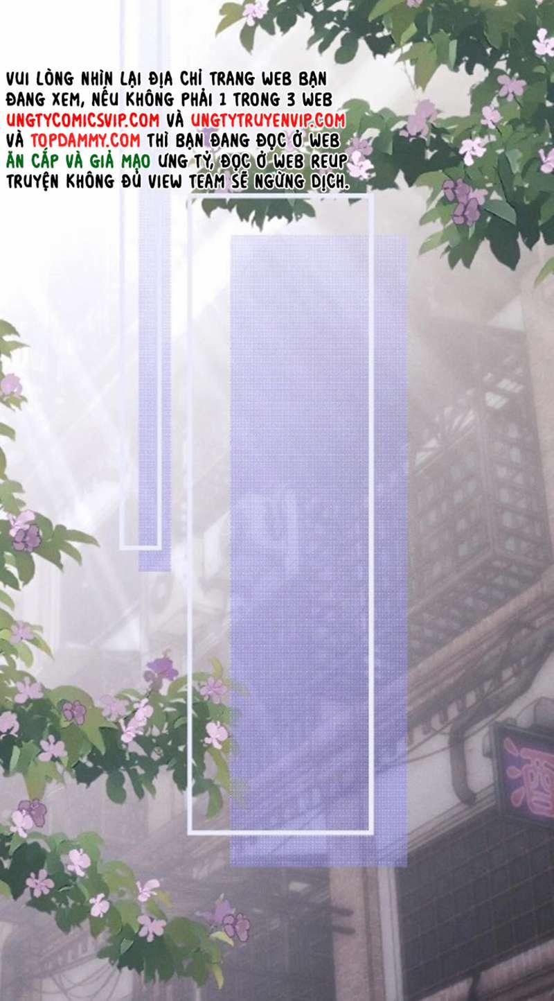 Chấp Sự Thỏ Cụp Tai 35 trang 13