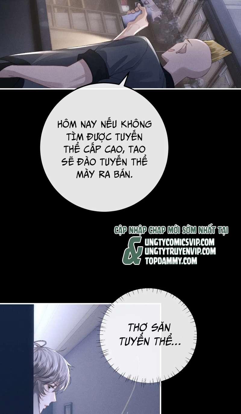 Chấp Sự Thỏ Cụp Tai 37 trang 17