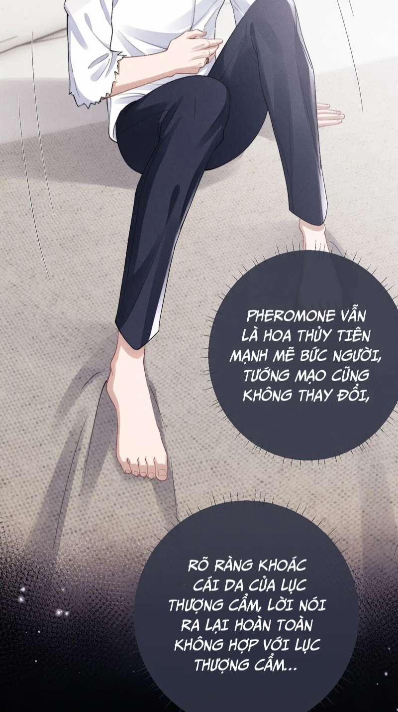 Chấp Sự Thỏ Cụp Tai 39 trang 21