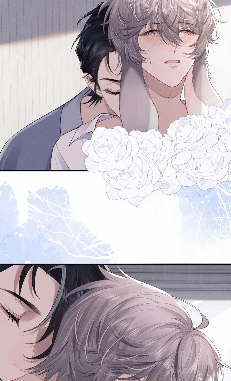 Chấp Sự Thỏ Cụp Tai 40 trang 2