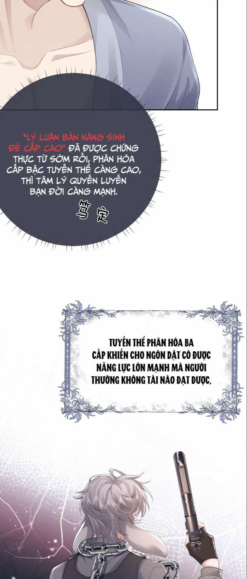 Chấp Sự Thỏ Cụp Tai 43 trang 11