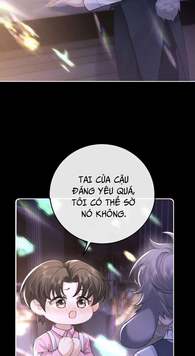 Chấp Sự Thỏ Cụp Tai 44 trang 11