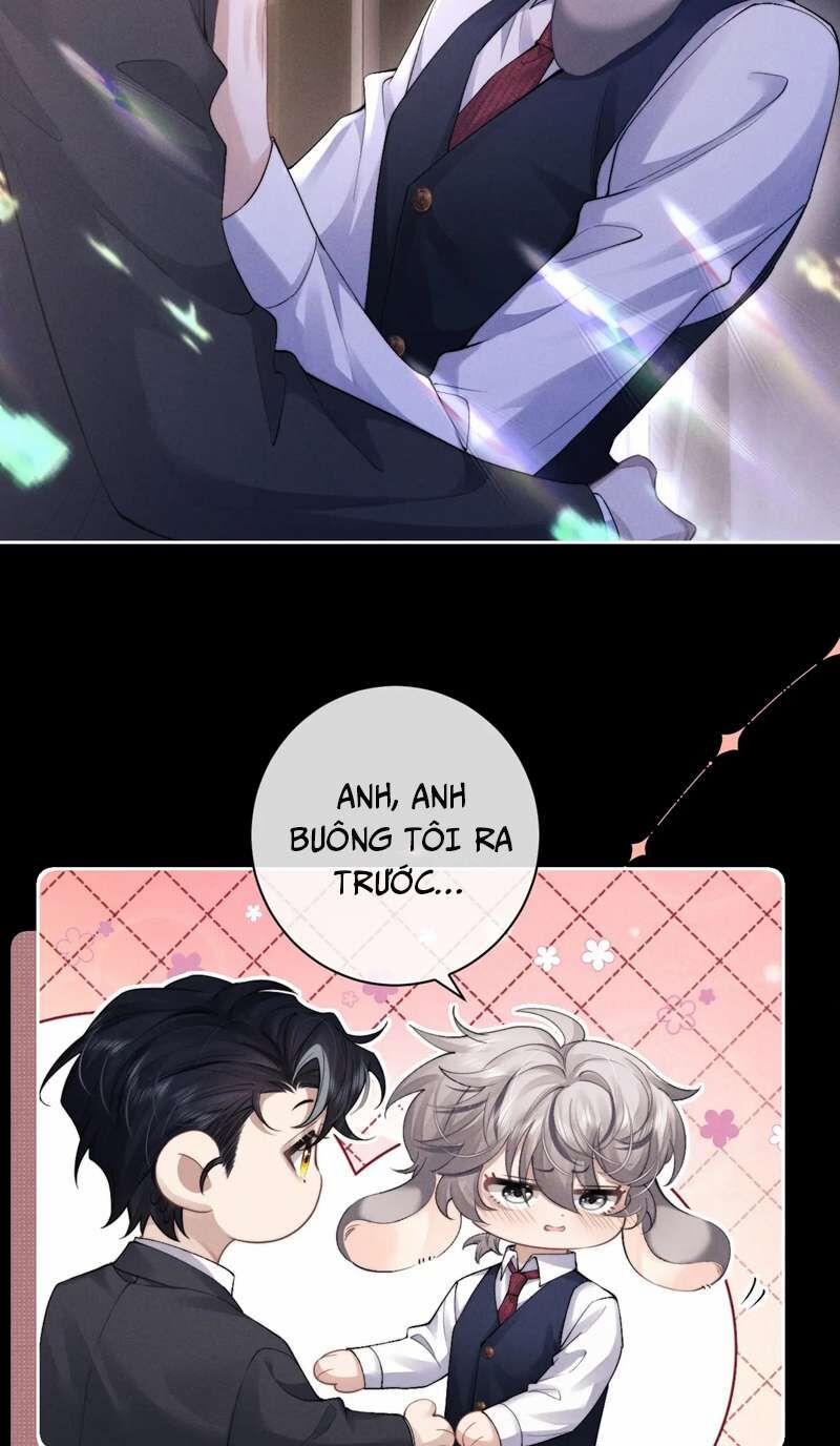 Chấp Sự Thỏ Cụp Tai 45 trang 3