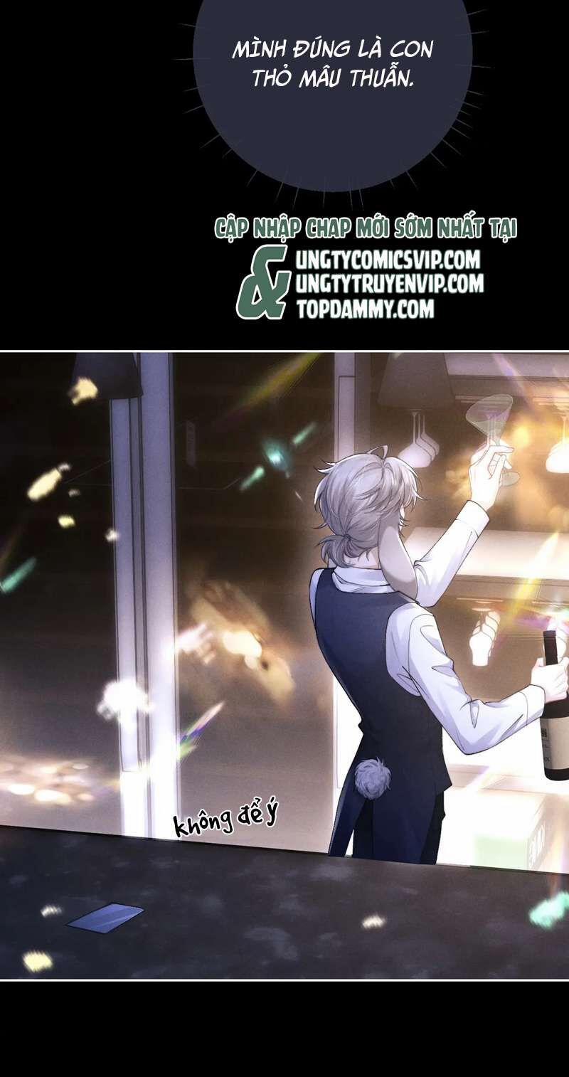 Chấp Sự Thỏ Cụp Tai 45 trang 8