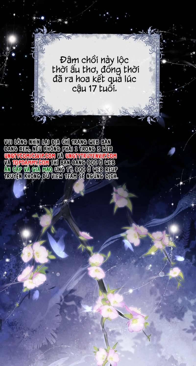 Chấp Sự Thỏ Cụp Tai 47 trang 16