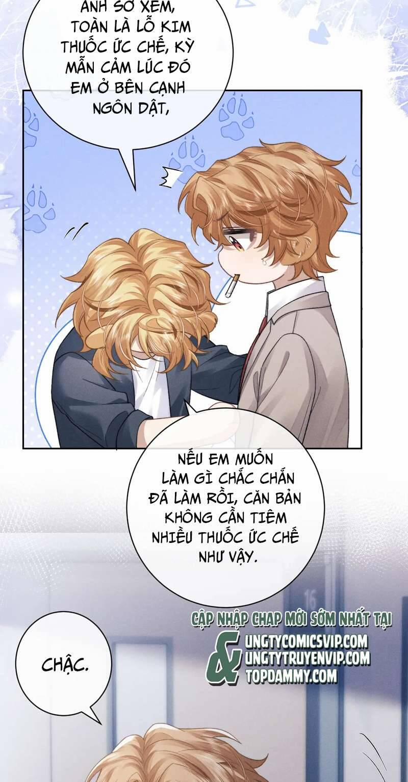 Chấp Sự Thỏ Cụp Tai 49 trang 24