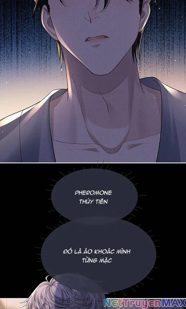 Chấp Sự Thỏ Cụp Tai 54 trang 31