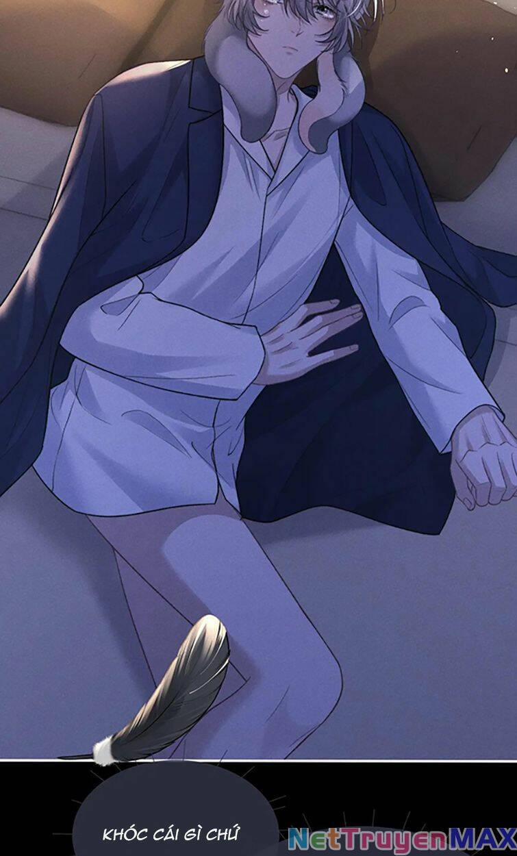 Chấp Sự Thỏ Cụp Tai 54 trang 39