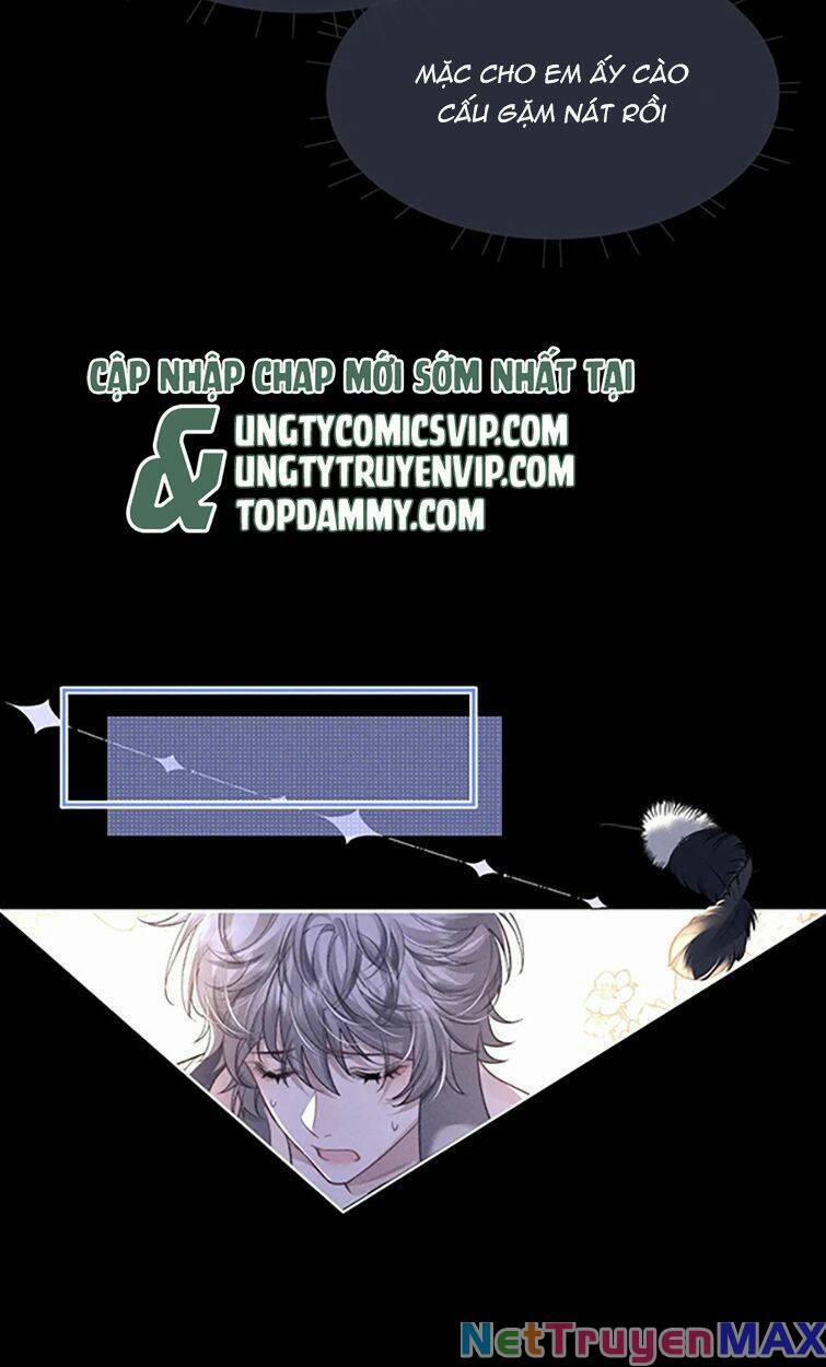 Chấp Sự Thỏ Cụp Tai 54 trang 41