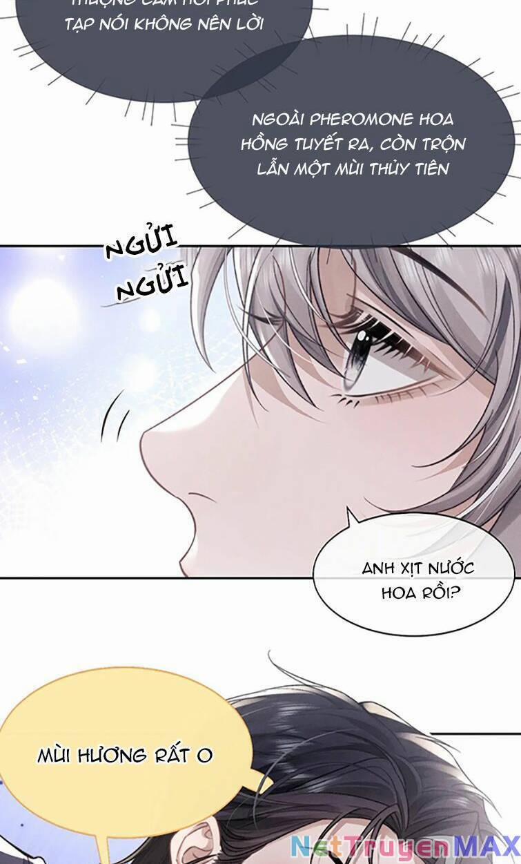 Chấp Sự Thỏ Cụp Tai 54 trang 56