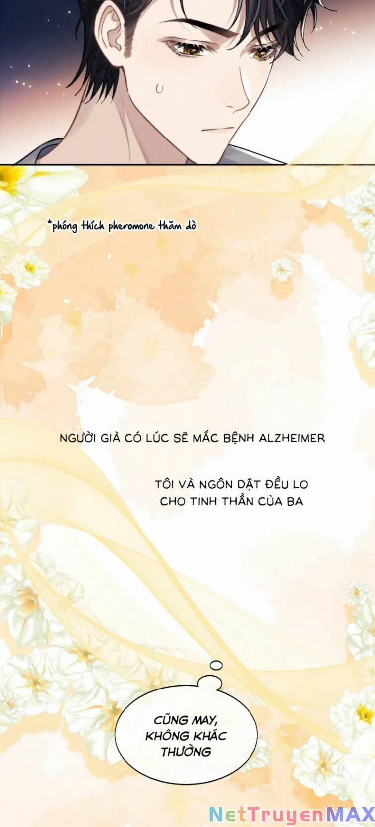 Chấp Sự Thỏ Cụp Tai 55 trang 10