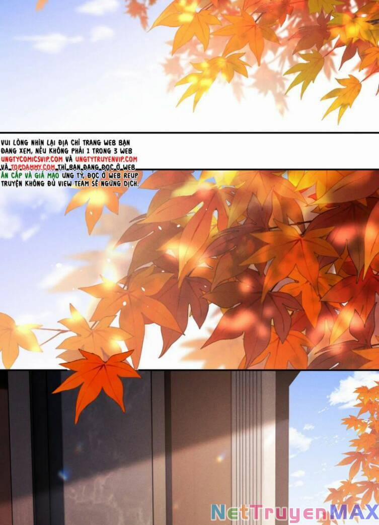 Chấp Sự Thỏ Cụp Tai 55 trang 2