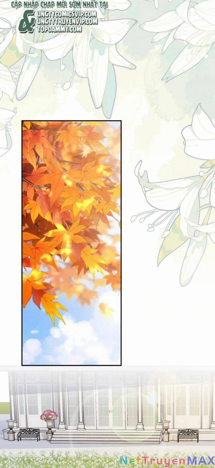 Chấp Sự Thỏ Cụp Tai 55 trang 24