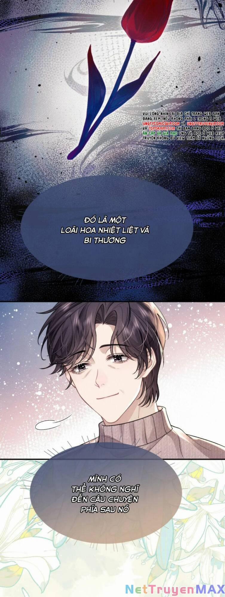 Chấp Sự Thỏ Cụp Tai 55 trang 28