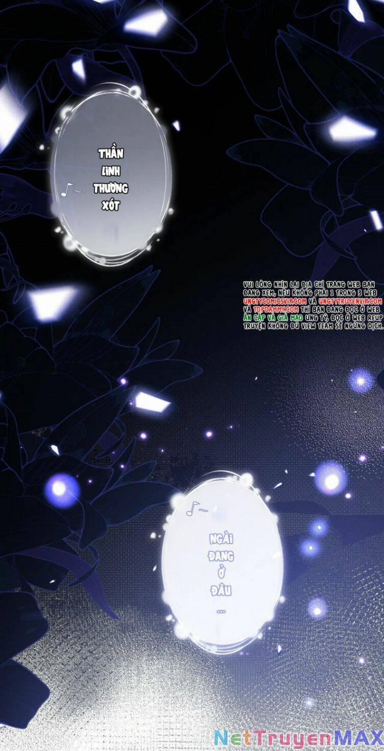 Chấp Sự Thỏ Cụp Tai 55 trang 36