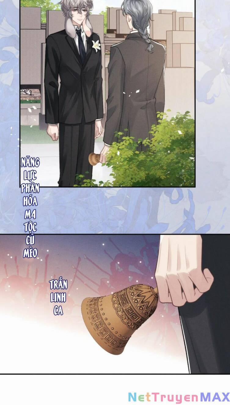 Chấp Sự Thỏ Cụp Tai 55 trang 41