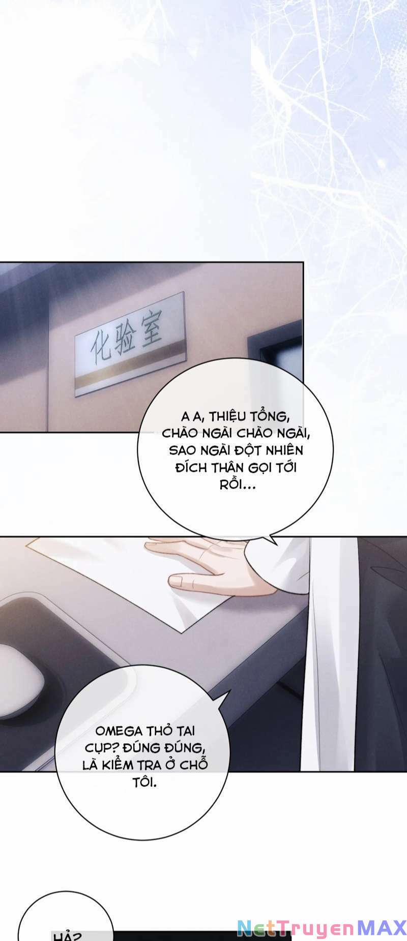 Chấp Sự Thỏ Cụp Tai 58 trang 6