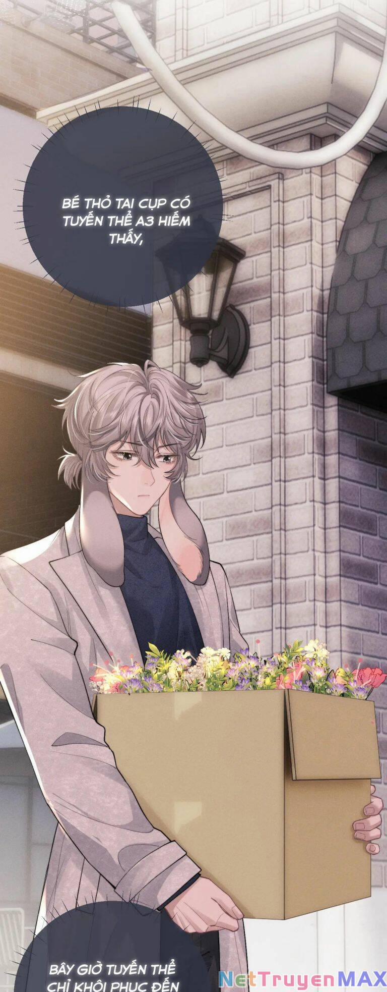 Chấp Sự Thỏ Cụp Tai 59 trang 22