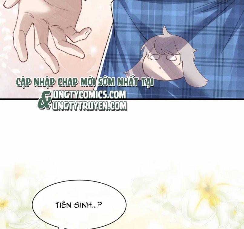 Chấp Sự Thỏ Cụp Tai 6 trang 24