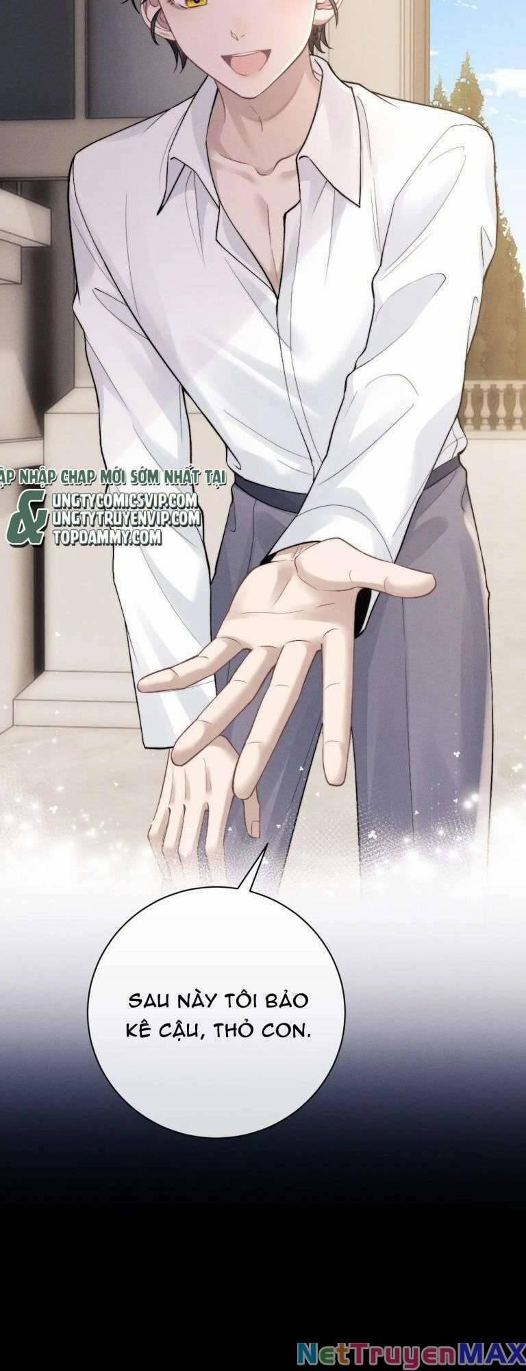 Chấp Sự Thỏ Cụp Tai 60 trang 18