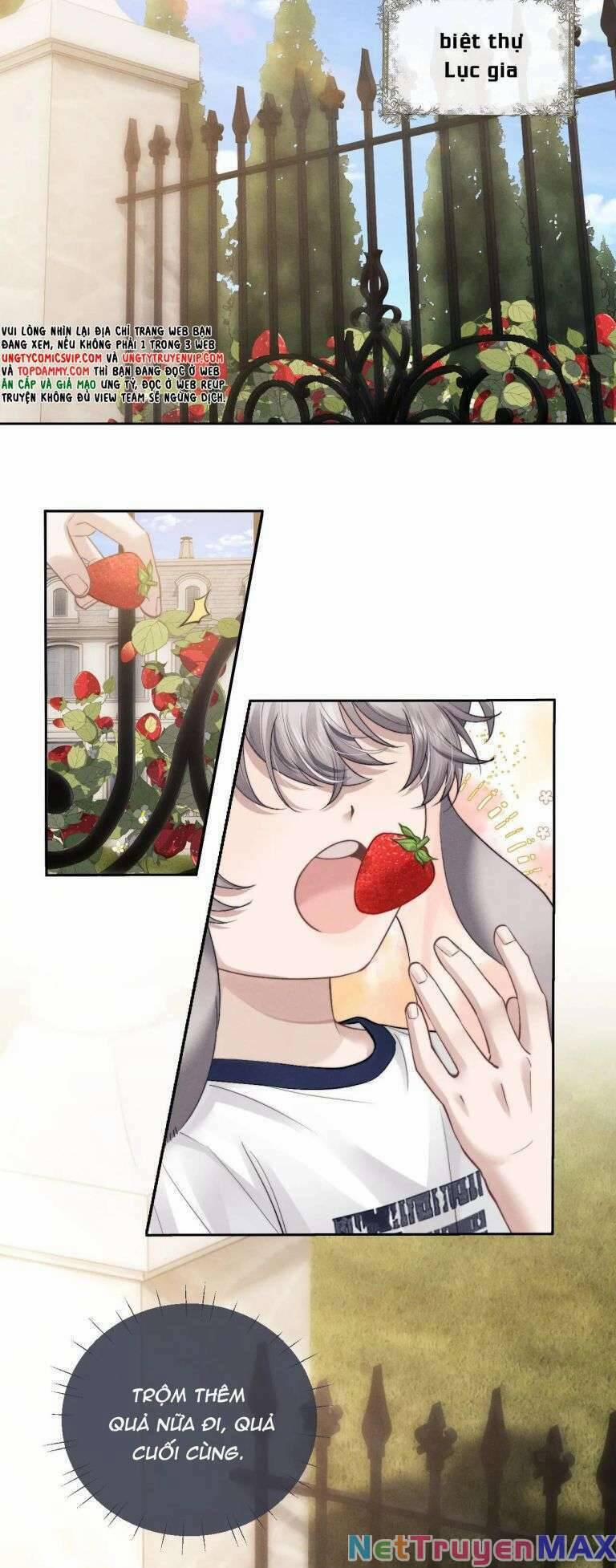 Chấp Sự Thỏ Cụp Tai 60 trang 2