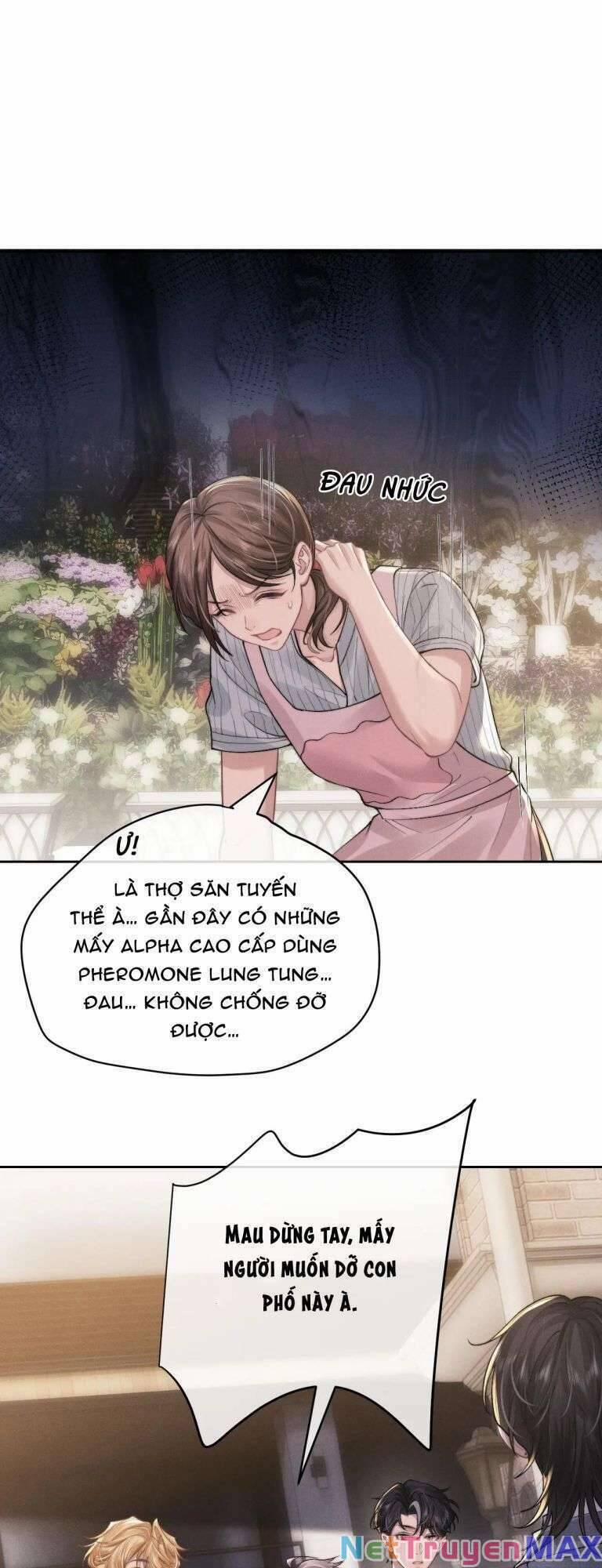 Chấp Sự Thỏ Cụp Tai 60 trang 21