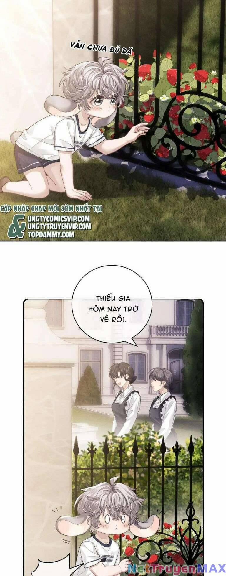 Chấp Sự Thỏ Cụp Tai 60 trang 3