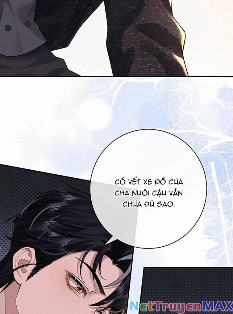 Chấp Sự Thỏ Cụp Tai 61 trang 5