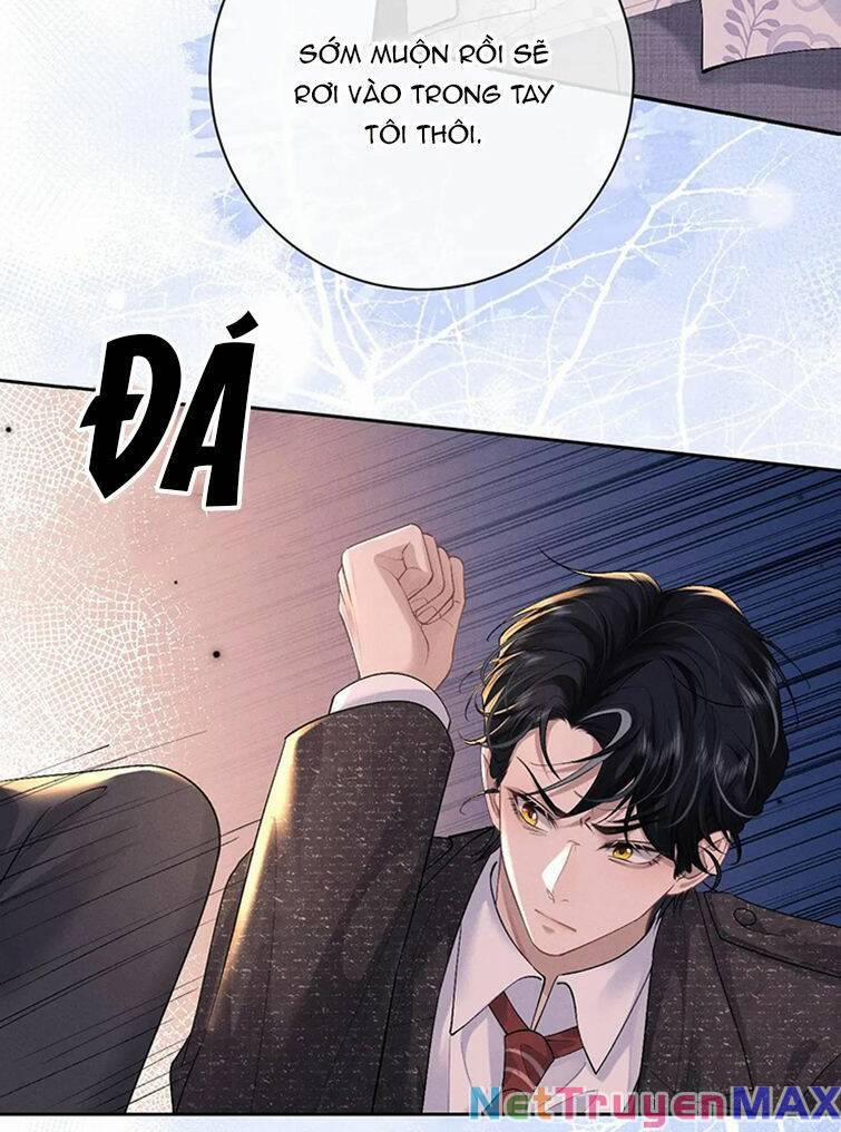 Chấp Sự Thỏ Cụp Tai 61 trang 7