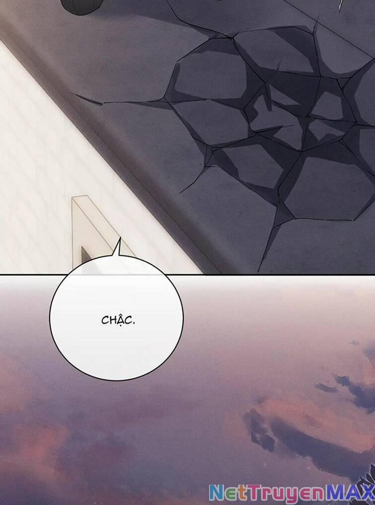 Chấp Sự Thỏ Cụp Tai 61 trang 9