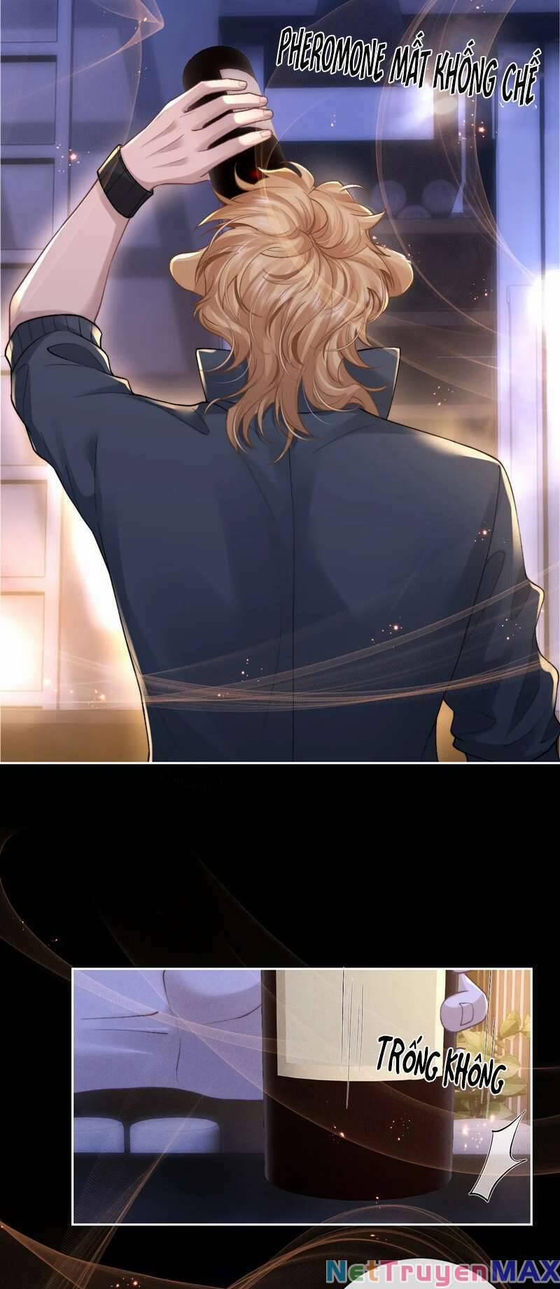 Chấp Sự Thỏ Cụp Tai 62 trang 12