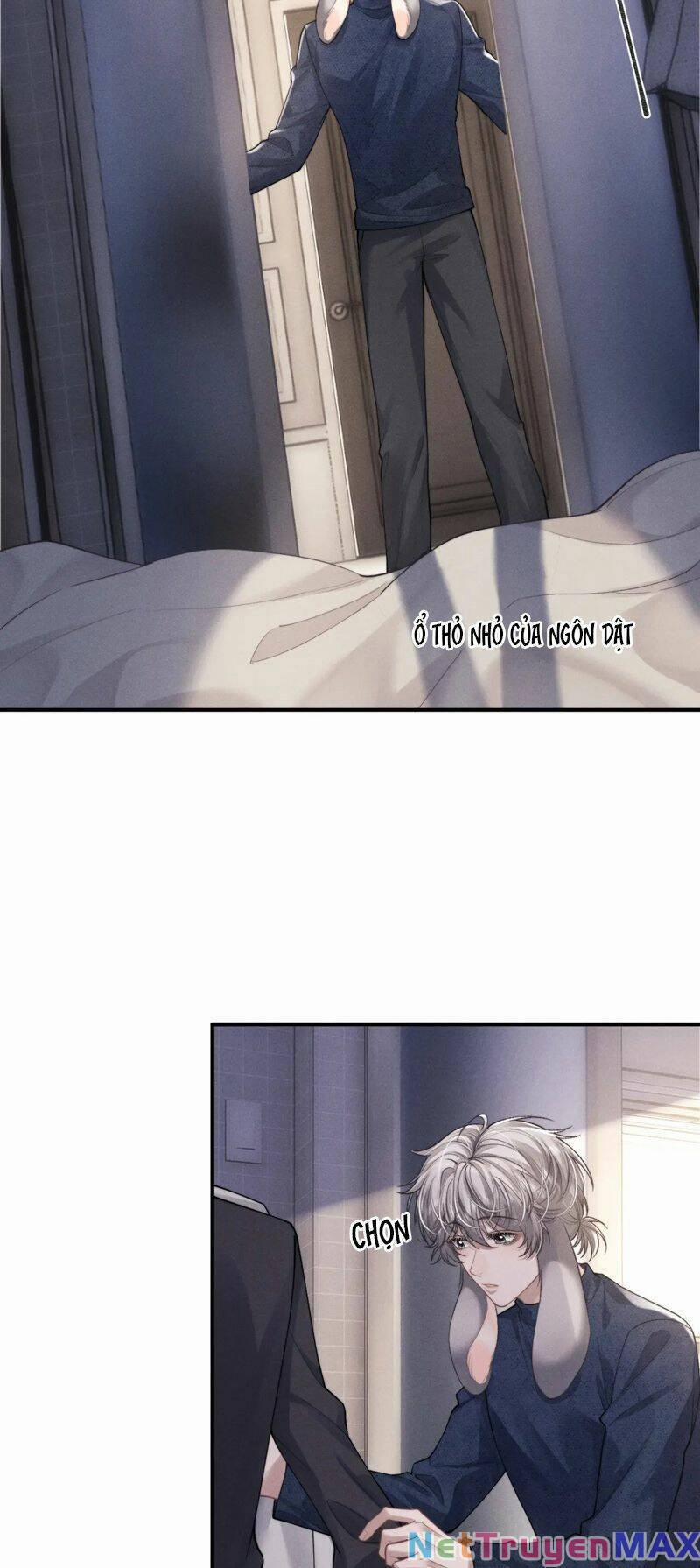 Chấp Sự Thỏ Cụp Tai 65 trang 11