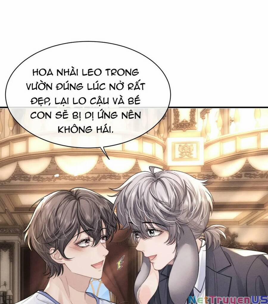 Chấp Sự Thỏ Cụp Tai 66 trang 13