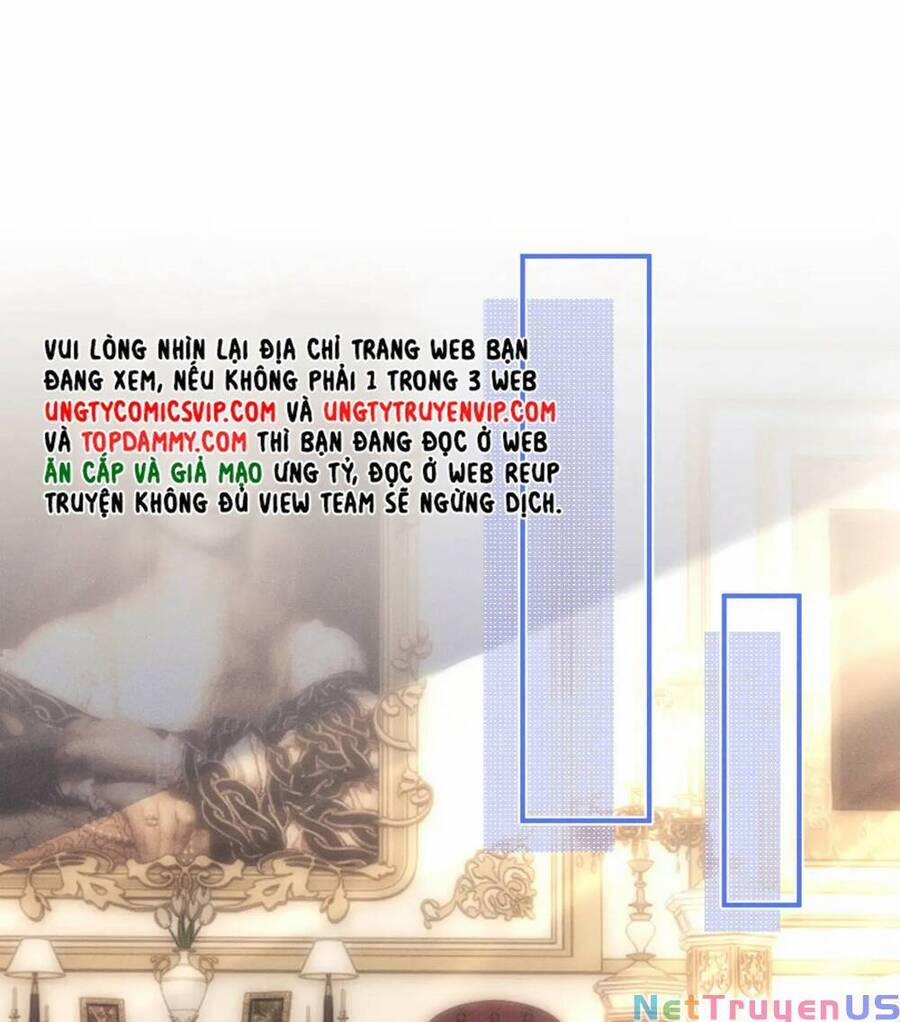 Chấp Sự Thỏ Cụp Tai 66 trang 2