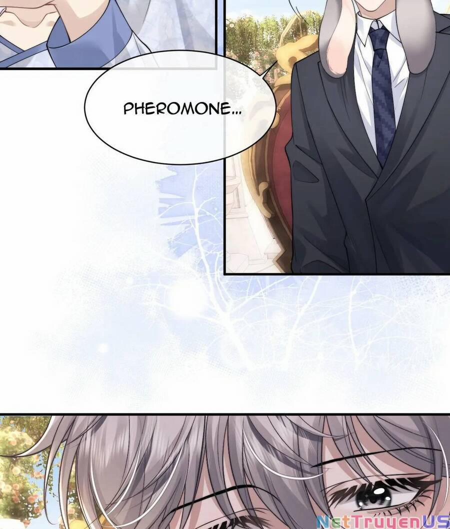 Chấp Sự Thỏ Cụp Tai 66 trang 45