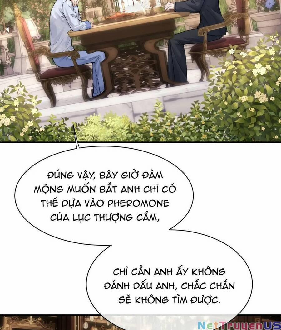 Chấp Sự Thỏ Cụp Tai 66 trang 47