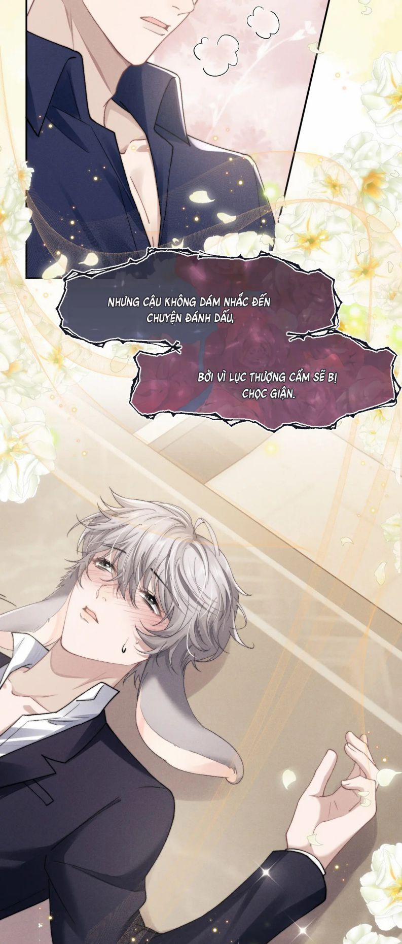 Chấp Sự Thỏ Cụp Tai 7 trang 4