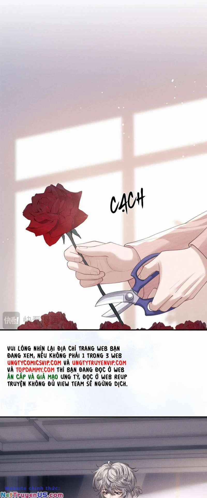 Chấp Sự Thỏ Cụp Tai 70 trang 2