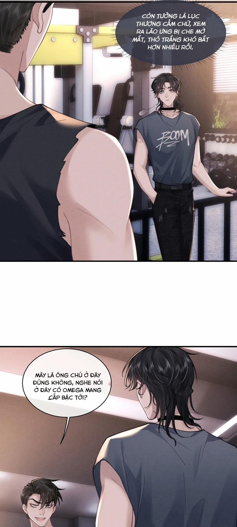 Chấp Sự Thỏ Cụp Tai 77 trang 11