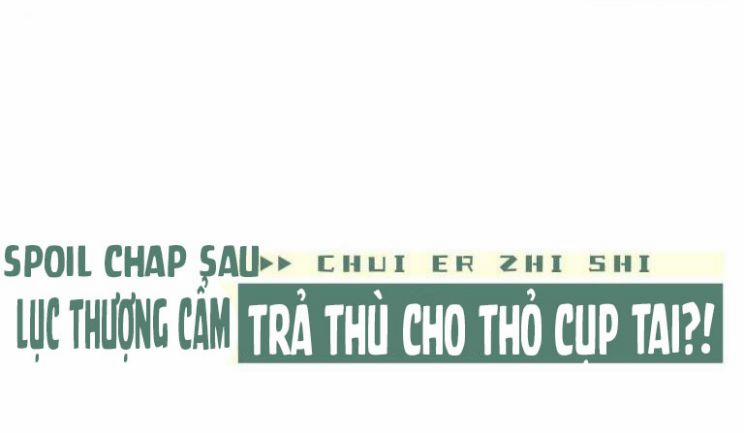 Chấp Sự Thỏ Cụp Tai 8 trang 46