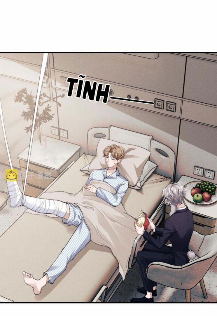 Chấp Sự Thỏ Cụp Tai 8 trang 5