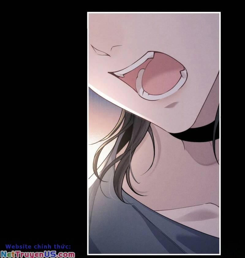 Chấp Sự Thỏ Cụp Tai 81 trang 20
