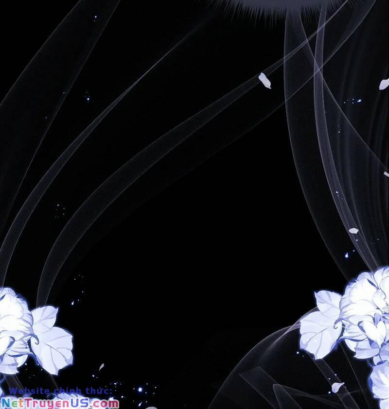 Chấp Sự Thỏ Cụp Tai 81 trang 23